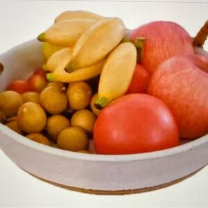 NEW Ceramic Fruit or Salad Bowl with Double Eared Vine Weaving Handles, 10 In